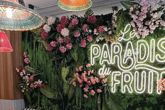Paradis du fruit 1